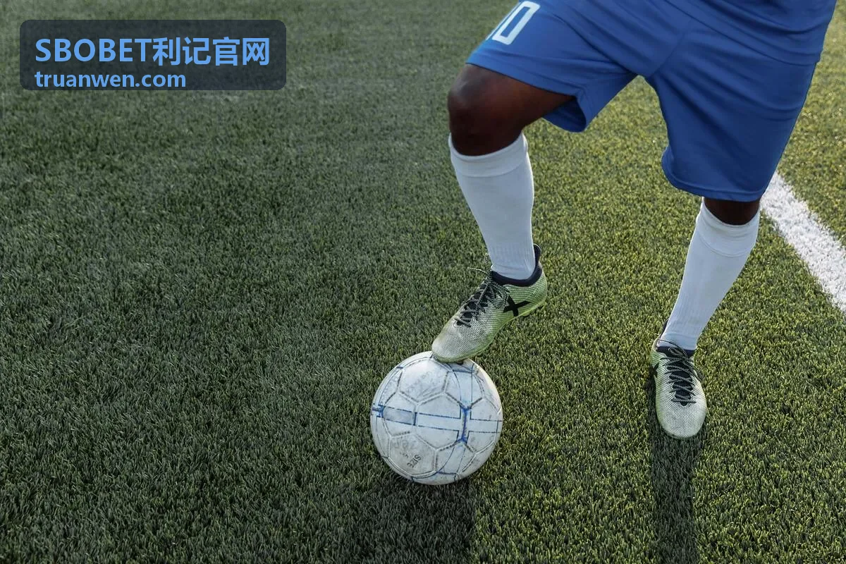 SBOBET利记安全稳定服务